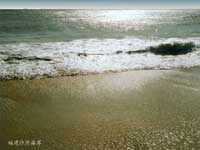 �������^ɳ�|(zh��)����