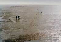 �ӱ������|����