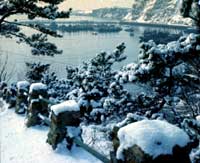 ��ѩ�}�}���҇�(gu��)��������