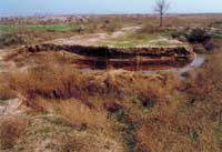 ����۹ź����zַ