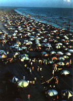 �V���������I