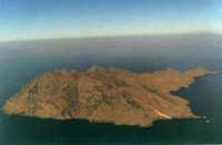 �]��ֲ�����`ɽ�u