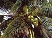 ����(sh��)���۵�Ҭ�Ә�(sh��)