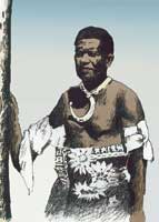 ʢ�b�İͲ����׃�(n��i)������