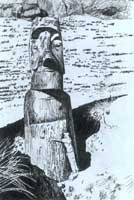 ʯ����ë�������c����� 