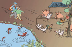 �����B�l(f��)�������D(zhu��n)��