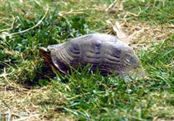 �R��(l��i)�]����