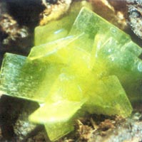 �Ŵ�1000����♵Vʯ