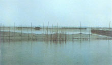 �������ϳ�ˮ