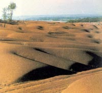 �ˌ����ȾɳĮ