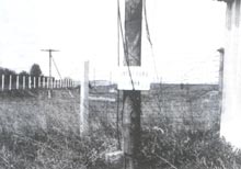 Ŀǰ���Р��Zؐ���Ա��F�z�W(w��ng)�o�o���@