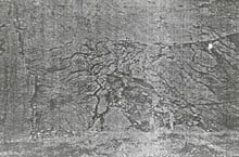 ����OKLO�zַ