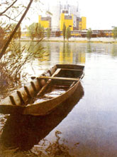 �������P���c������ӶѺ��վ