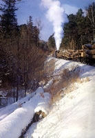 ��(zhu��n)���F·�е�ɭ���F·