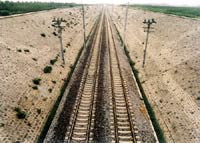 ���͵�·�q