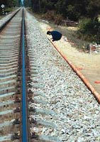 ��O(sh��)������܉���ľ�·