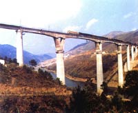 �ϱP�����